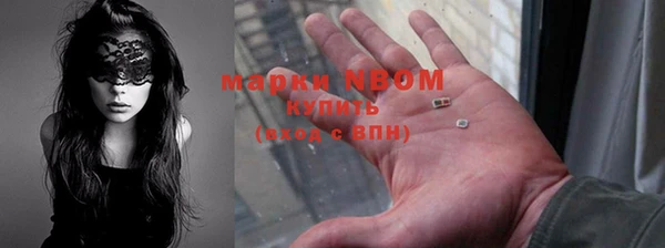 2c-b Ельня