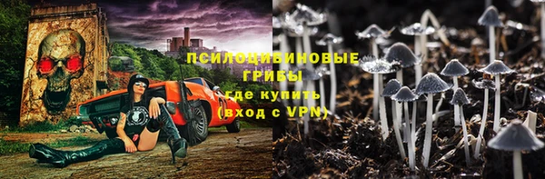 2c-b Ельня