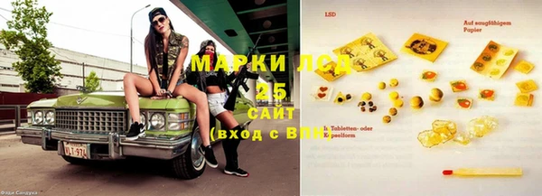 2c-b Ельня